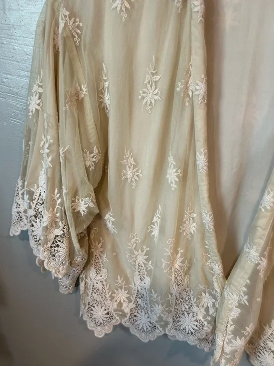 Zara Sheer Embroidered Kimono in Beige with White Lace - Picture 3 of 16